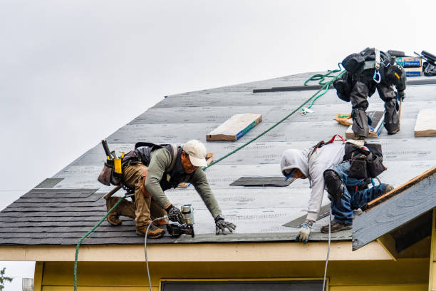 Professional Roof Replacement technician working in Webster, IN